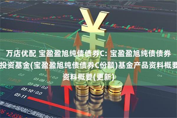 万店优配 宝盈盈旭纯债债券C: 宝盈盈旭纯债债券型证券投资基金(宝盈盈旭纯债债券C份额)基金产品资料概要(更新)