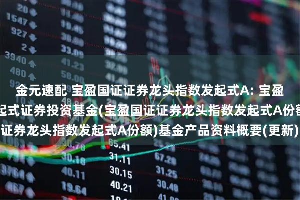 金元速配 宝盈国证证券龙头指数发起式A: 宝盈国证证券龙头指数型发起式证券投资基金(宝盈国证证券龙头指数发起式A份额)基金产品资料概要(更新)