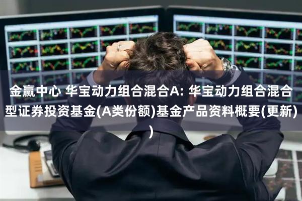 金赢中心 华宝动力组合混合A: 华宝动力组合混合型证券投资基金(A类份额)基金产品资料概要(更新)