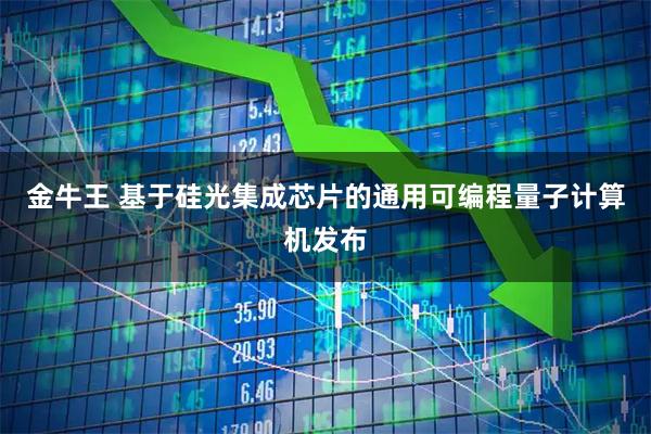 金牛王 基于硅光集成芯片的通用可编程量子计算机发布